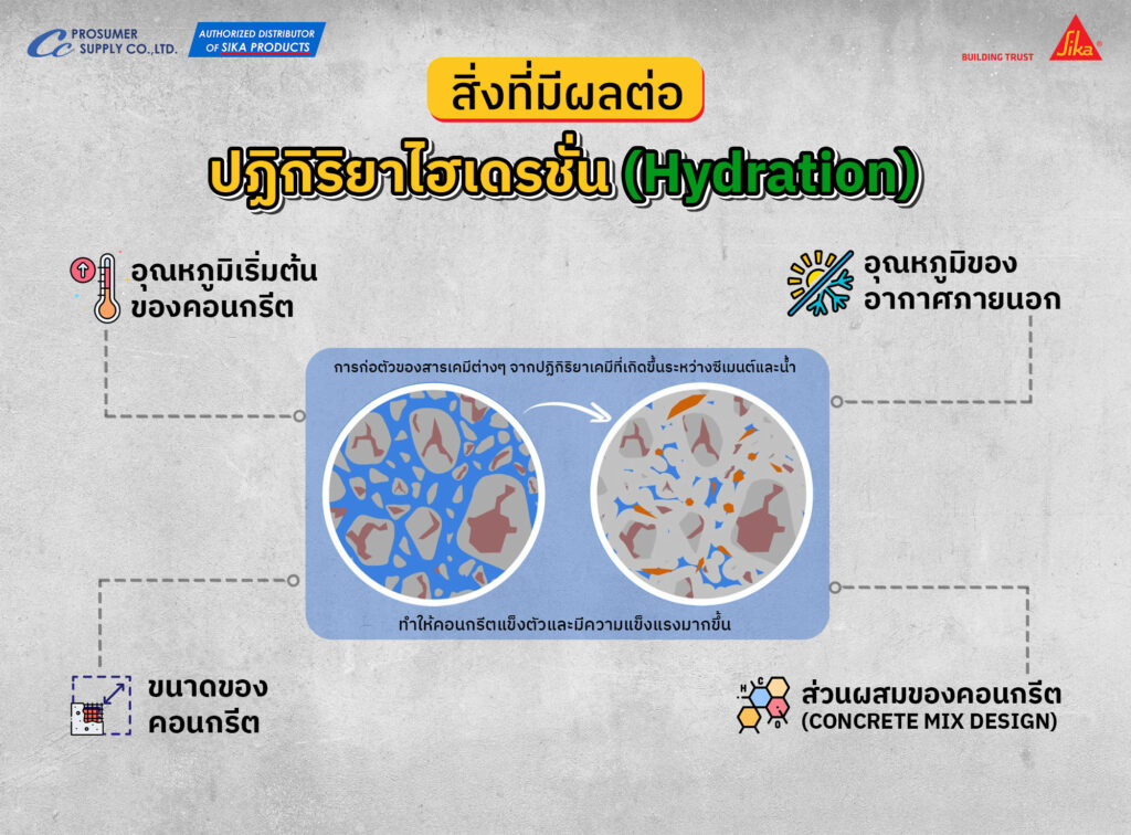สิ่งที่มีผลต่อปฏิกิริยาไฮเดรชั่น