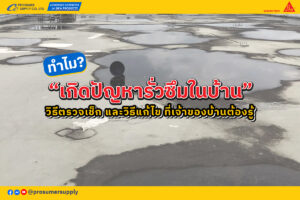 คู่มือครบวงจร: ทำความเข้าใจปัญหา น้ำรั่วซึม ในบ้านและวิธีแก้ไขอย่างยั่งยืน