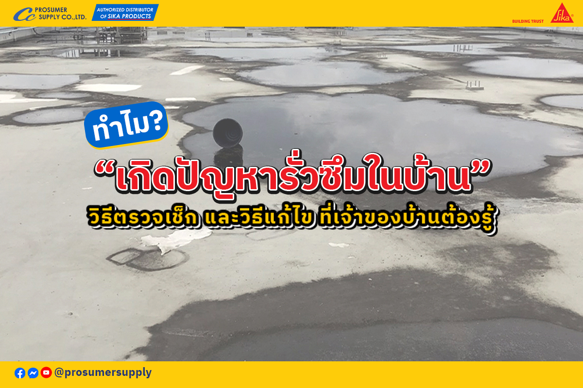ปัญหา น้ำรั่วซึม ในบ้าน: สาเหตุ, วิธีแก้ไข และป้องกัน
