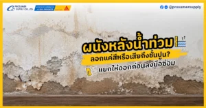 ผนังหลังน้ำท่วม ลอกแค่สีหรือเสียถึงชั้นปูน? แยกให้ออกก่อนลงมือซ่อม