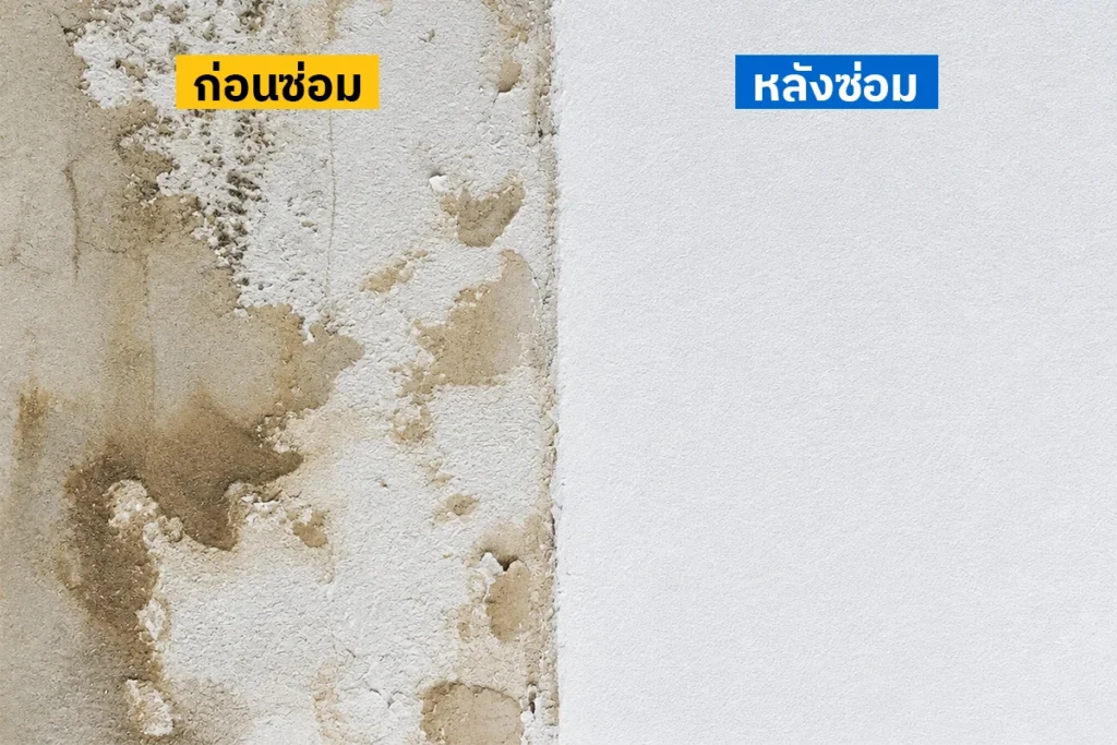ผนังที่ผ่านการซ่อมปูนหลังน้ำท่วม มีรอยต่อระหว่างพื้นผิวเดิมและพื้นที่ซ่อมใหม่ก่อนฉาบบาง